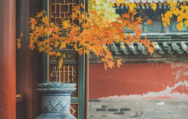 День 4: Пекин