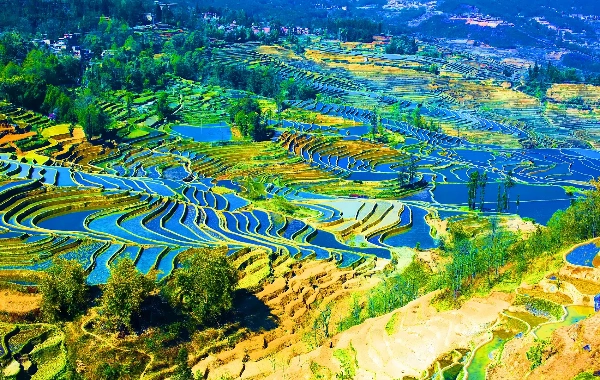 День 5: Юаньян