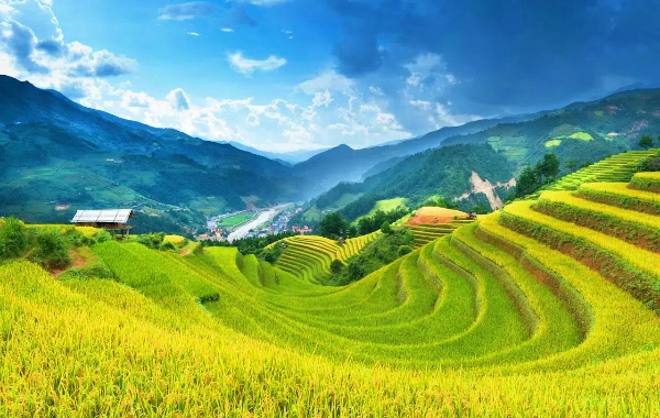 День 5: Юаньян