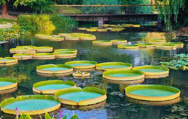 День 6: Шанхайский выезд