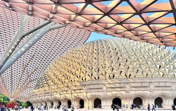 اليوم 4: مغادرة نانجينغ