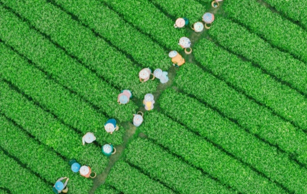 Jour 3: Départ de Hangzhou