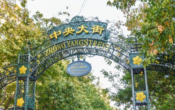 일 7: 장춘 - 하얼빈