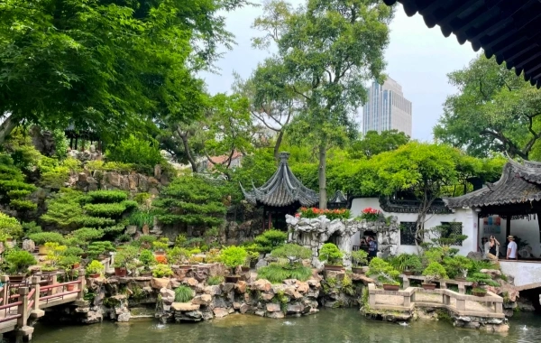 День 11: Шанхай