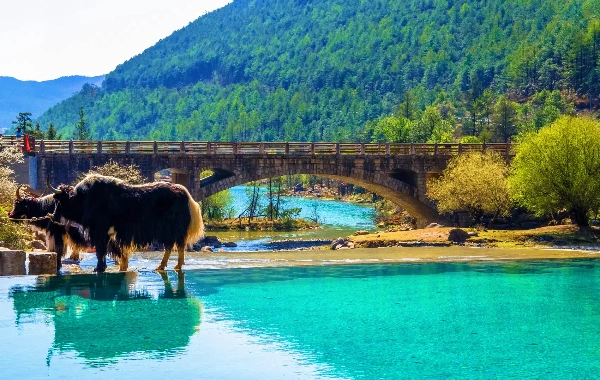 День 2: Куньмин - Лицзян