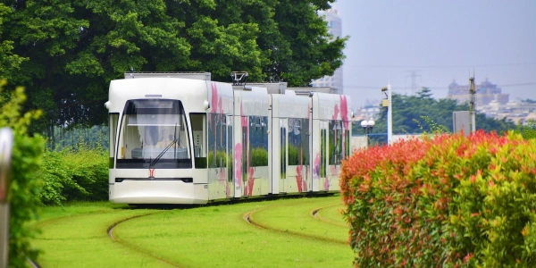 День 7: Гуанчжоу