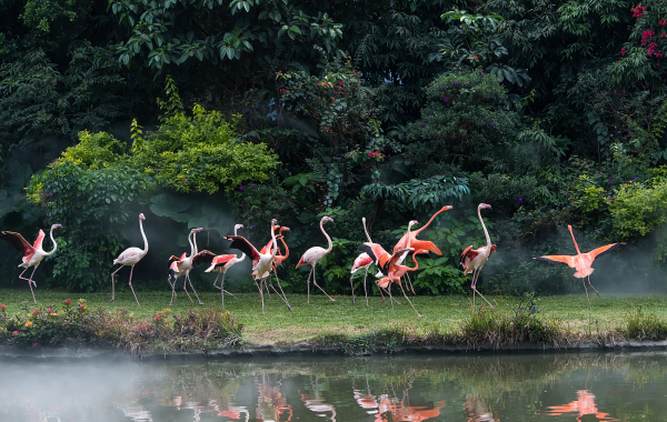 اليوم 3: زوهاي