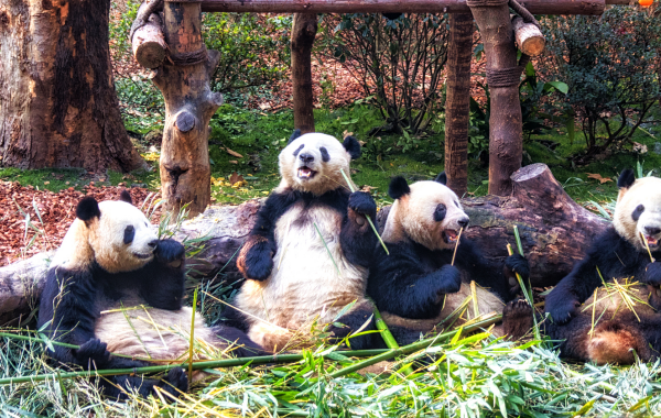 اليوم 3: زوهاي