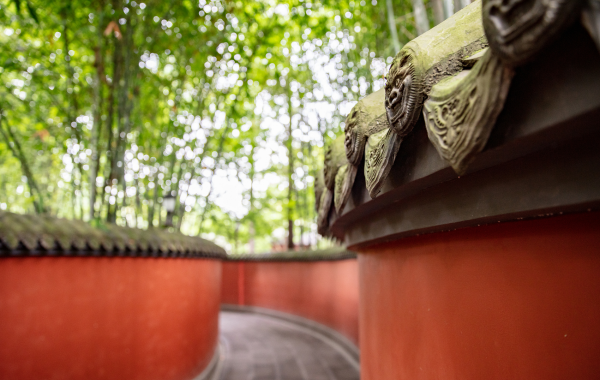 Day 4: Chengdu Arrival