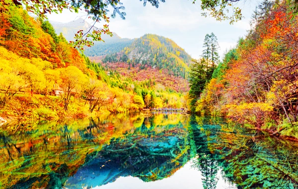 Jiuzhaigou & 팬더 밸리 자연과 Panda 투어