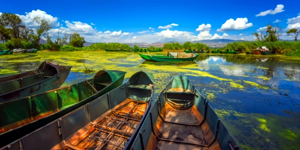 일 4: 마일 -- 뚱 베어