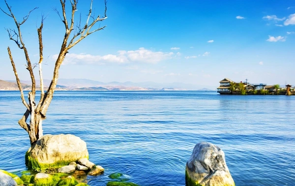 日 3: 麗江 - ダリ