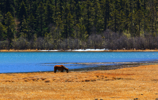 День 4: Шангри-ла
