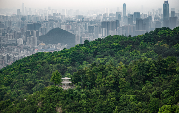 День 7: Гуанчжоу Департруре