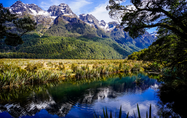 Giorno 4: Shangri-la 