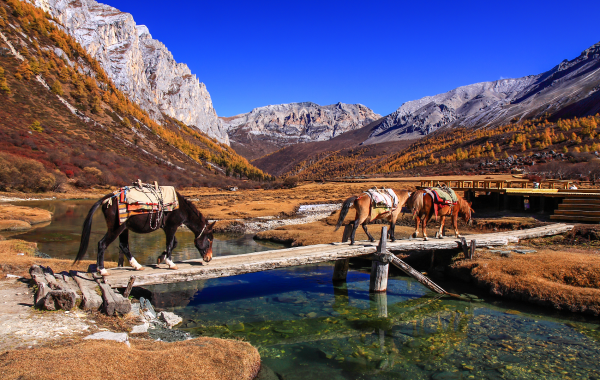 6 일 : Shangrila 출발