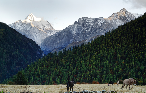 6 일 : Shangrila 출발