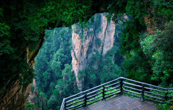 일 6: Zhangjiajie 출발