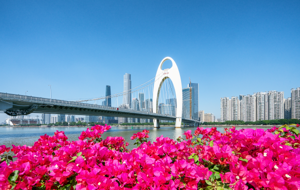 일 6: Zhangjiajie 출발