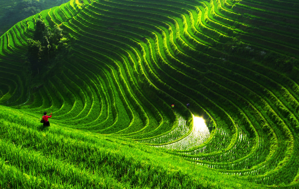 Jour 1: Arrivée de Guilin