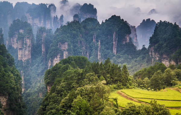 Jour 7 : Départ de Zhangjiajie