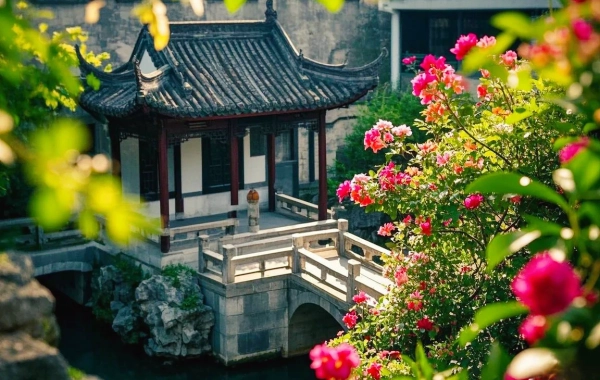 Giorno 8: Ritorno a Guangzhou