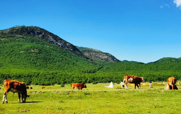 День 6: Лицзян