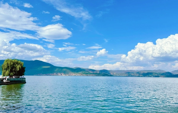 День 8: Дали