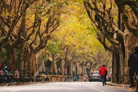 Day 1 : 베이징 도착