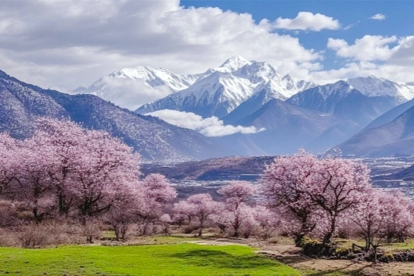 Day1: ラッサ到着