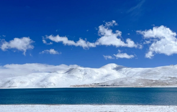 Day5: リャサ - 滋賀