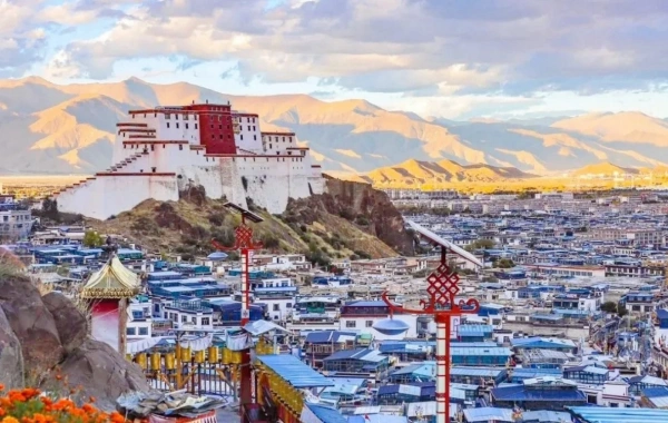 Day6:シガチェ - エベレストマウント