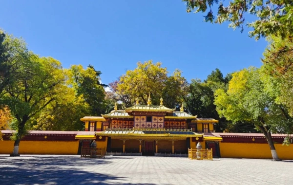 8日目: 滋賀 - リャサ