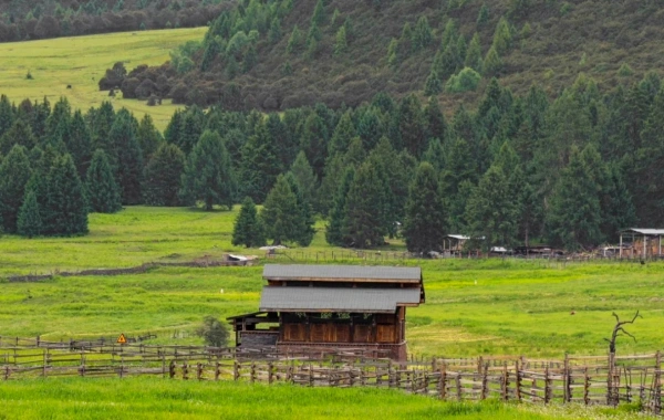 Day 2: Nyingchi - 美女