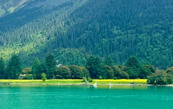 4日目 | Bomi-Basongcuo