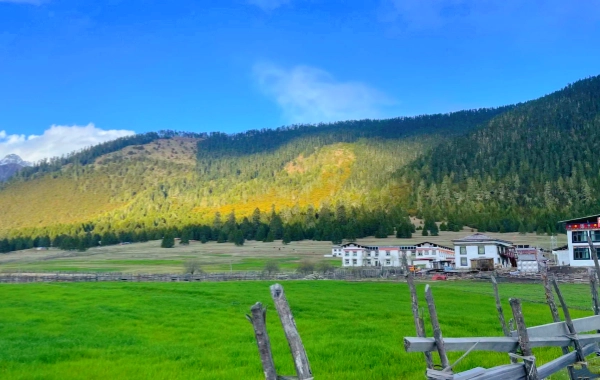 Day 2: Nyingchi - 美女