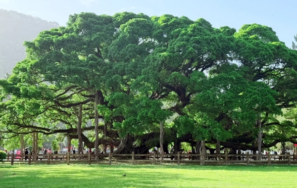 День 2: Фучжоу