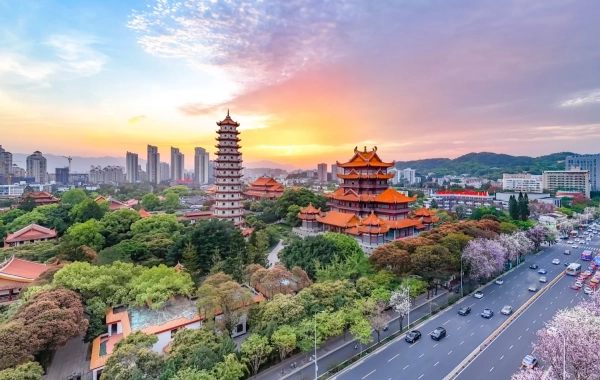 7日目: 福州出発