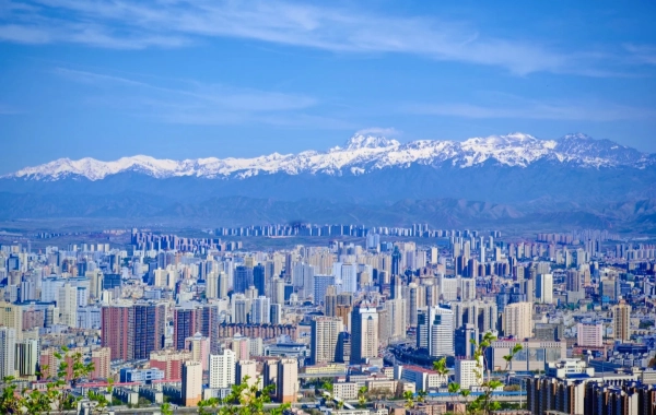 1日目:梅酒到着