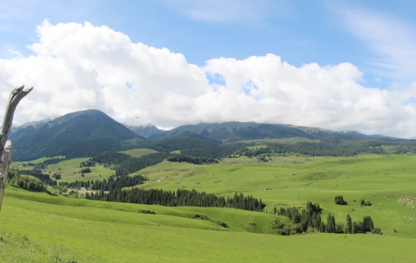 1日目:梅酒到着