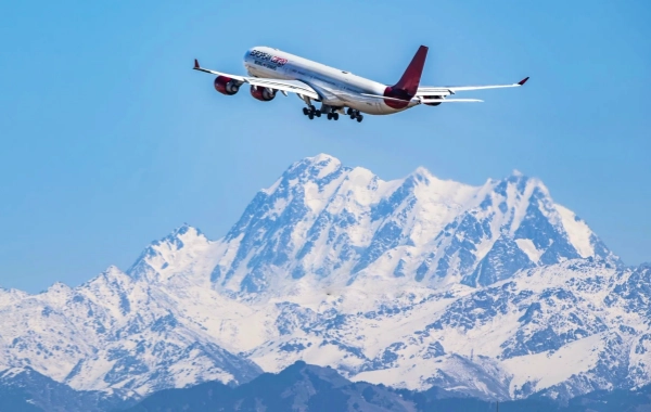 1日目:梅酒到着