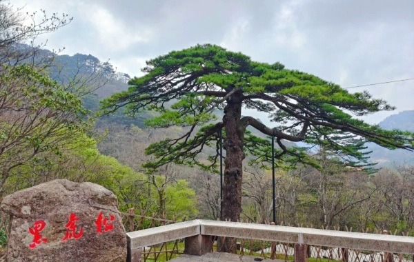 Giorno 3: Mount Huang& Partenza