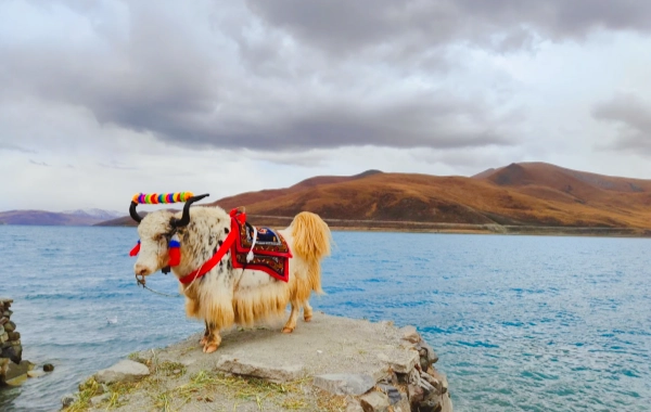 Giorno 3: Shannan - Lhasa