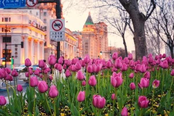 3日間杭州から上海ツアー