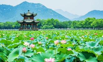 День 1: Ханчжоу