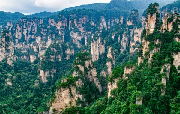 일 1: Zhangjiajie 도착