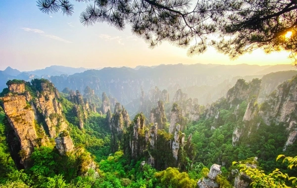 일 1: Zhangjiajie 도착