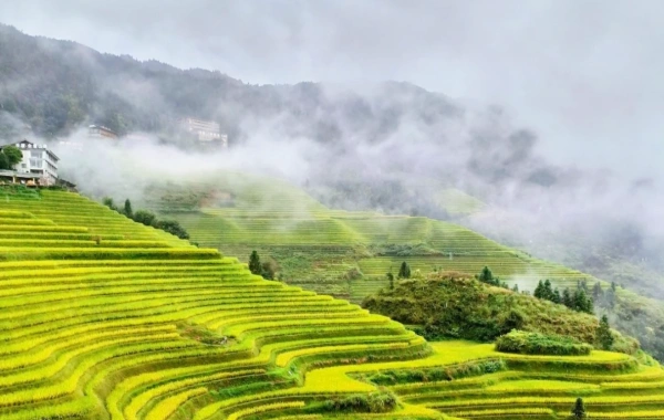 1 일 : Guilin 도착