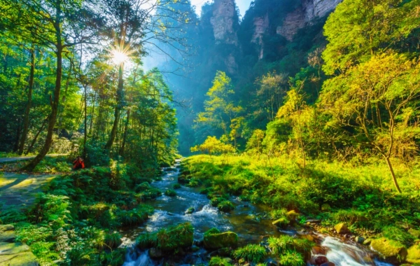 Jour 2: Parc national de Zhangjiajie