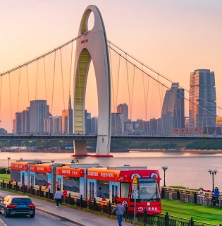 6日広東省 文化ツアー